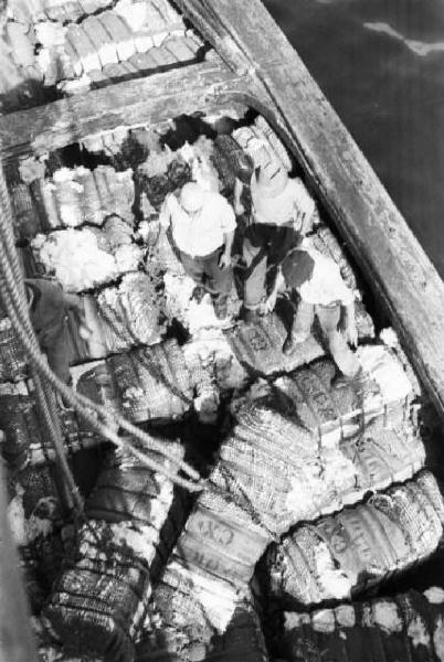 Italia Dopoguerra. Genova - Bacino San Giorgio - Fase di scaricamento del cotone dalla nave Norwich Victory - ripresa dall'alto di un'imbarcazione con camalli al lavoro