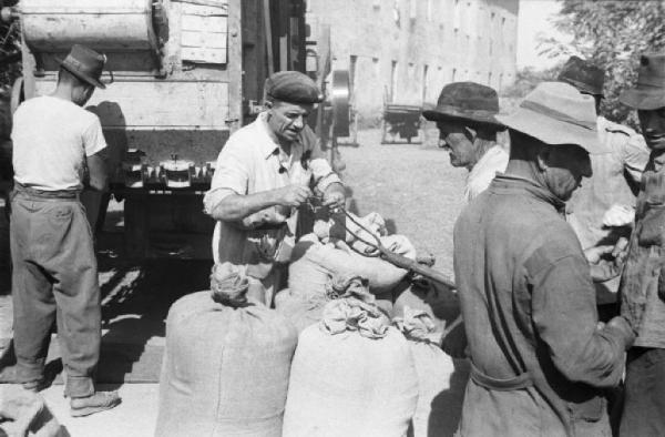 Inzago. Trebbiatura. Alcuni contadini chiudono i sacchi del grano, altri discutono - sullo sfondo macchinari agricoli