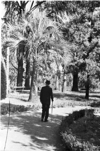 Roma. Don Luigi Sturzo ripreso di spalle mentre passeggia in un parco con l'aiuto del bastone