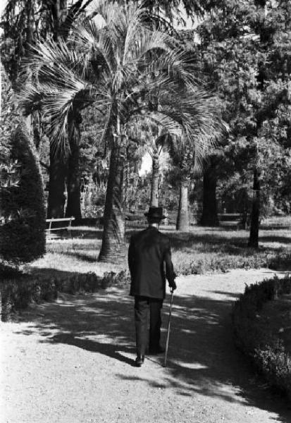 Roma. Don Luigi Sturzo ripreso di spalle mentre passeggia in un parco con l'aiuto di un bastone