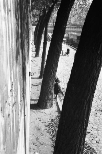 Parigi. Alberi sul lungo Senna