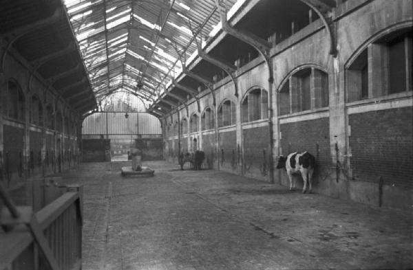 Parigi. Interno del macello de La Villette