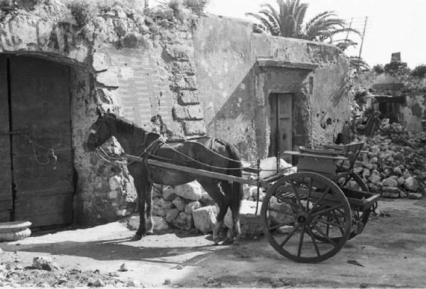 Italia Dopoguerra. Terracina. Calesse con cavallo attaccato alla porta di un'abitazione. Intorno edifici distrutti dai bombardamenti