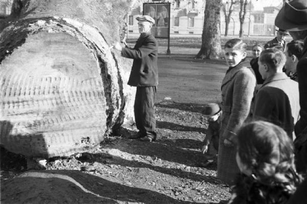 Milano. Ragazzini osservano al parco il taglio di un grosso tronco d'albero