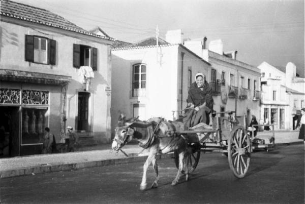Portogallo. Cascais. Donna su un carretto trainato da un asino per le strade del paese