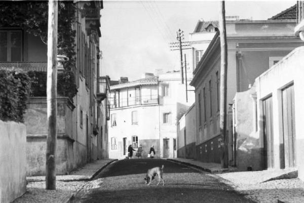 Portogallo. Cascais. Vie del paese - un cane attraversa la strada - sullo sfondo tre donne