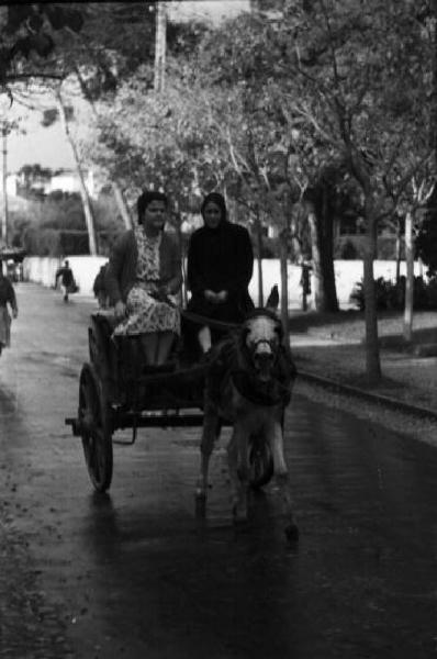 Portogallo. Cascais. Due donne su un carro tirato da un asino per le strade del paese