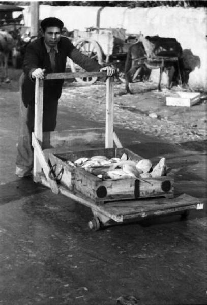 Portogallo. Cascais. Uomo spinge un carrello con una cassetta di pesce
