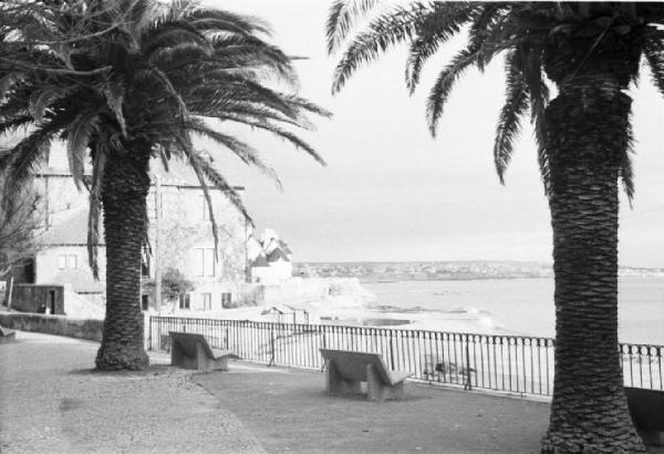 Portogallo. Cascais. Lungomare con palme e panchine