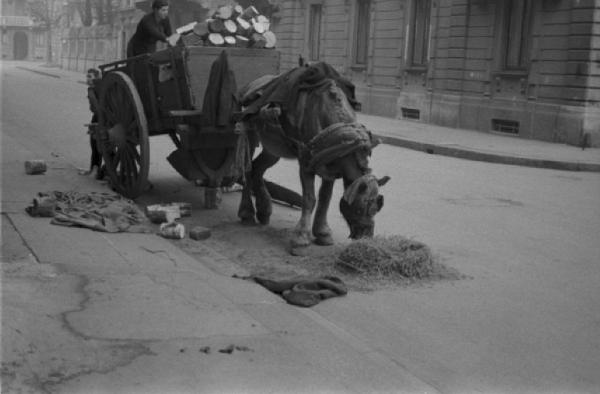 Italia Dopoguerra. Milano. Un carretto con cavallo fermo lungo la strada mentre una donna scarica della legna da ardere