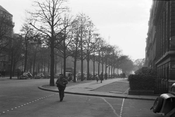 Parigi. Un viale alberato con automobili parcheggiate