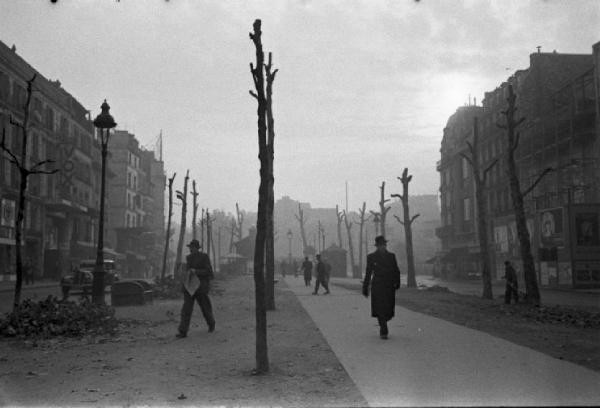 Parigi. Scorcio di un viale con alberi potati