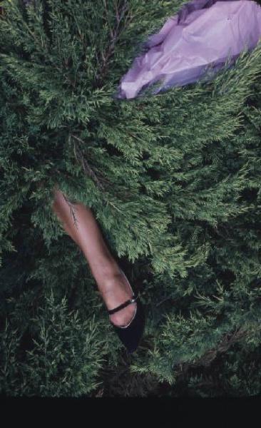 Gamba di donna con scarpa elegante nera sbucano da una fitta vegetazione - a margine un foulard lilla mosso dal vento