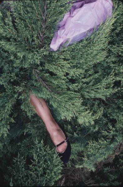 Gamba di donna con scarpa elegante nera sbucano da una fitta vegetazione - a margine un foulard lilla mosso dal vento