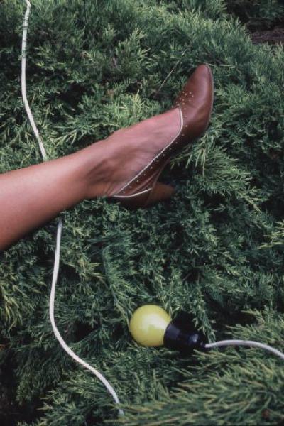 Piede di donna con scarpa elegante marrone sopra una fitta vegetazione - a margine una lampadina gialla con filo bianco