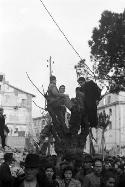 Roma. Gruppo di ragazzi in cima a un albero in mezzo a una folla di persone con bandiere che percorre una strada della città