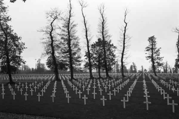 Normandia. Cimitero di guerra di Blosville. Fuga prospettica delle croci