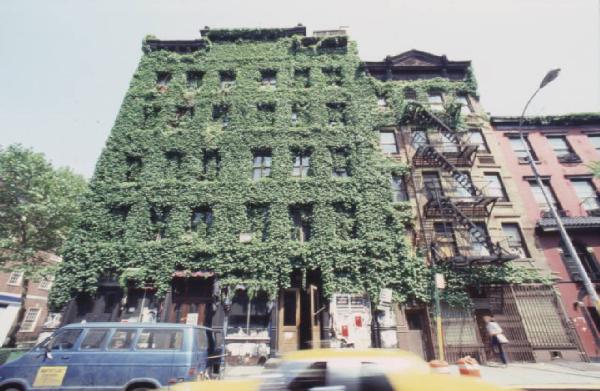 New York. Edificio a uso residenziale ricoperto di rampicanti