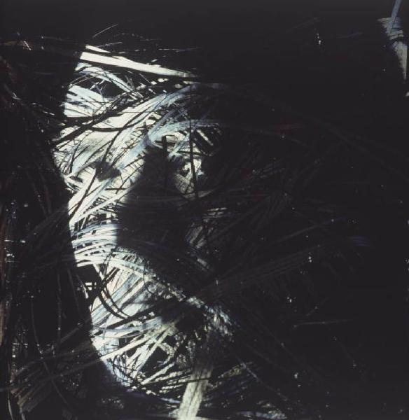 Klaustrofobia. Ritratto maschile - autoritratto dell'artista proiettato sul fondale "Spaghetti". Luce grigio/verde