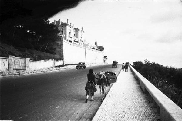 Cascais. Lungomare - donna e mulo che trasporta sul basto cassette di ortaggi