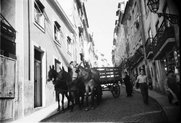 Lisbona. Carro trainato da cavalli