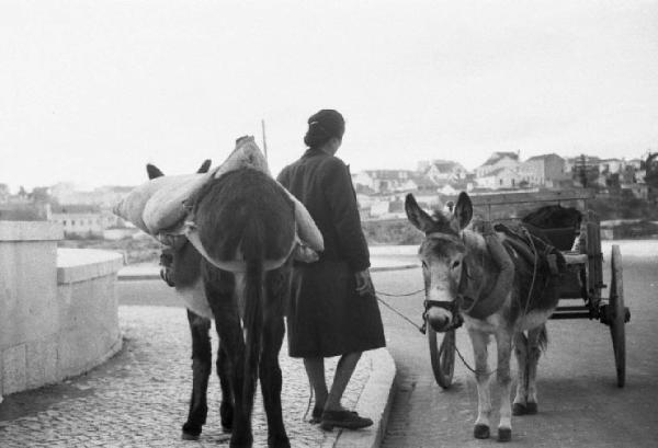 Cascais. Asinello con la soma e carretto