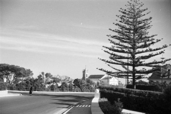 Estoril. Strada litoranea - albero