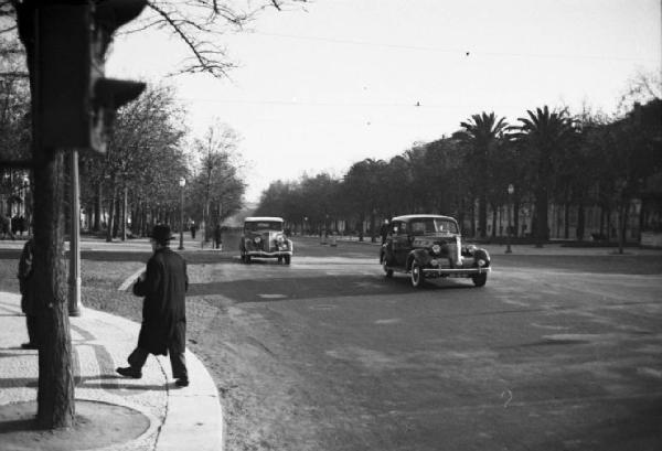 Lisbona. Viale alberato - automobili