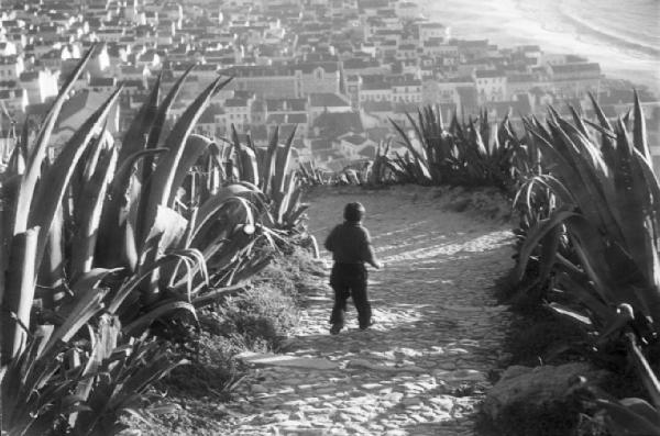 Nazaré - quartiere Sitio. Viottolo sterrato tra piante di agave