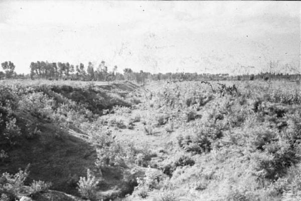 Italia Dopoguerra. Sant'Angelo Lodigiano. Reportage sulla figura di Santa Francesca Cabrini - veduta del paesaggio circostante il centro abitato