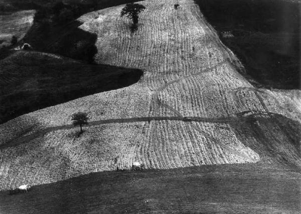 Metamorfosi della terra. Marche - Paesaggio agricolo - Campi arati - Veduta dall'alto