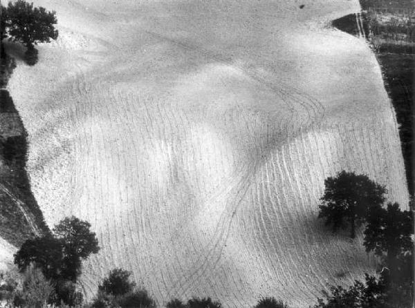 Metamorfosi della terra. Marche - Paesaggio agricolo - Campo dissodato - Foto aerea