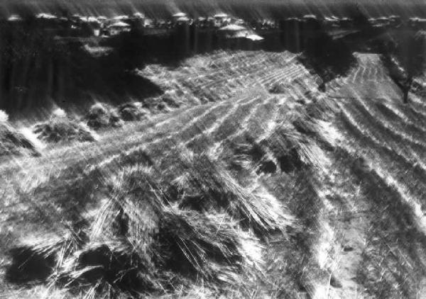 Metamorfosi della terra. Marche - Paesaggio agricolo - Campo