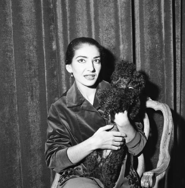 Milano - Abitazione di Maria Callas: interno - Ritratto femminile: Maria Callas (cantante lirica) con cane barboncino seduta su una sedia