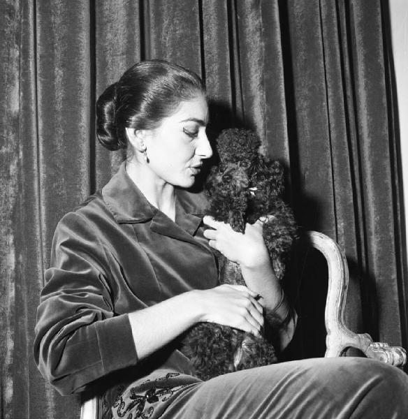 Milano - Abitazione di Maria Callas: interno - Ritratto femminile: Maria Callas (cantante lirica) con cane barboncino seduta su una sedia - Tenda