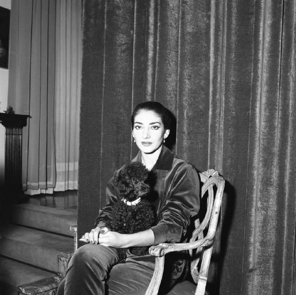 Milano - Abitazione di Maria Callas: interno - Ritratto femminile: Maria Callas (cantante lirica) con cane barboncino seduta su una sedia - Tenda