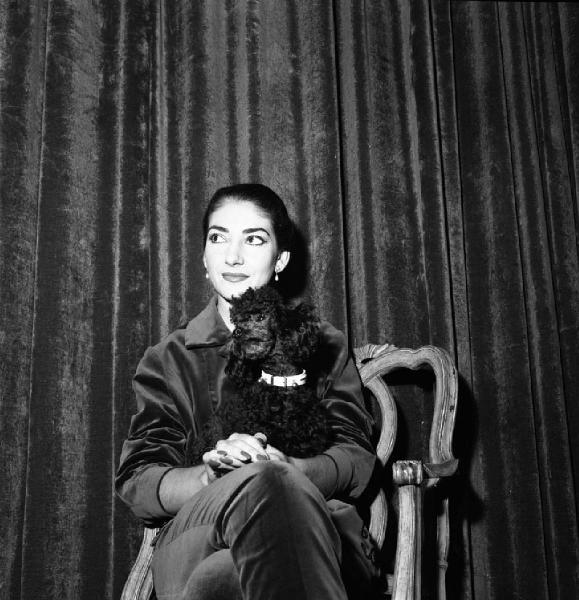 Milano - Abitazione di Maria Callas: interno - Ritratto femminile: Maria Callas (cantante lirica) con cane barboncino seduta su una sedia - Tenda