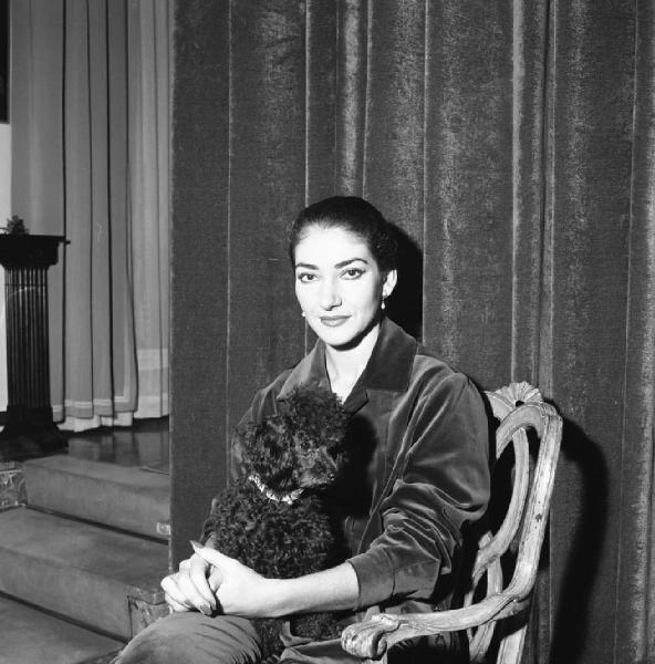 Milano - Abitazione di Maria Callas: interno - Ritratto femminile: Maria Callas (cantante lirica) con cane barboncino seduta su una sedia - Tenda