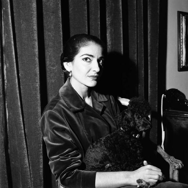 Milano - Abitazione di Maria Callas: interno - Ritratto femminile: Maria Callas (cantante lirica) con cane barboncino seduta su una sedia - Tenda