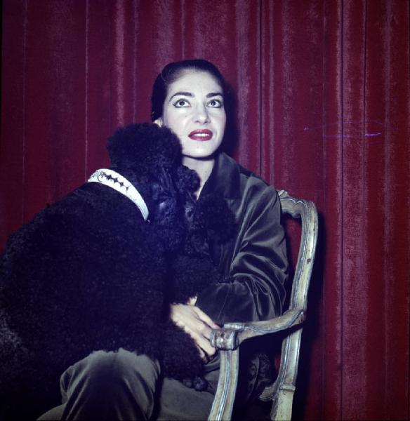 Milano - Abitazione di Maria Callas: interno - Ritratto femminile: Maria Callas (cantante lirica) con cane barboncino seduta su una sedia - Tenda