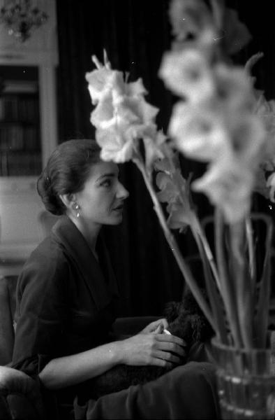 Milano - Abitazione di Maria Callas: interno - Ritratto femminile di profilo: Maria Callas (cantante lirica) seduta su una poltrona - Tavolo con vaso di fiori - Cane barboncino