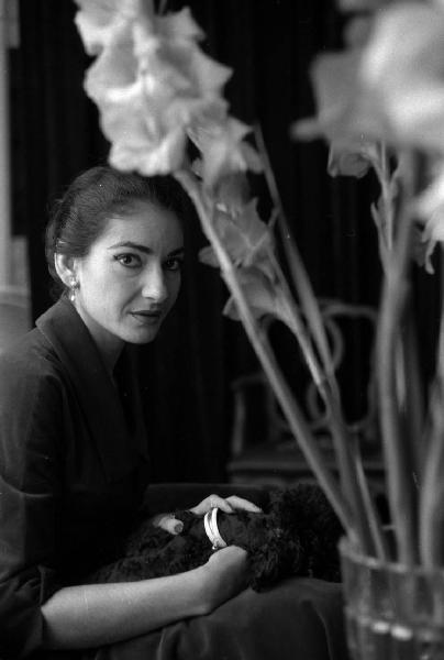 Milano - Abitazione di Maria Callas: interno - Tavolino con vaso di fiori - Ritratto femminile: Maria Callas (cantante lirica) seduta su una poltrona - Cane barboncino