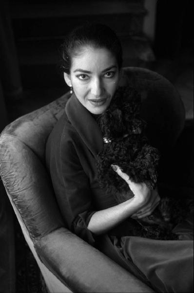 Milano - Abitazione di Maria Callas: interno - Ritratto femminile: Maria Callas (cantante lirica) seduta su una poltrona - Cane barboncino