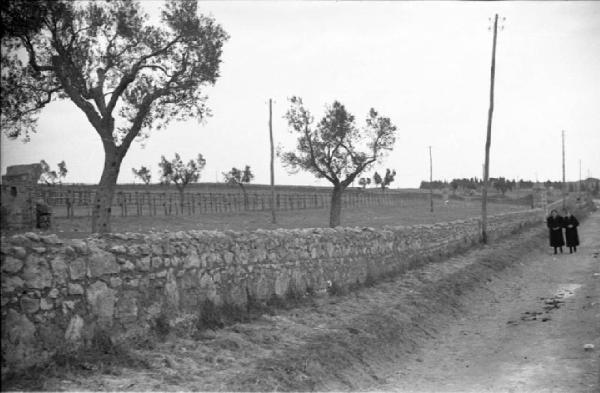 Tarquinia - Strada di campagna - Ritratto femminile: due donne sulla strada - Muretto in pietra - Alberi