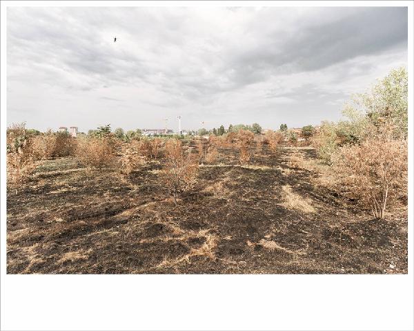 Cittàinattesa. Milano, via Forze Armate - Aeroporto La Valle, poi campo di addestramento militare della caserma Perrucchetti - Campo abbandonato - Vegetazione