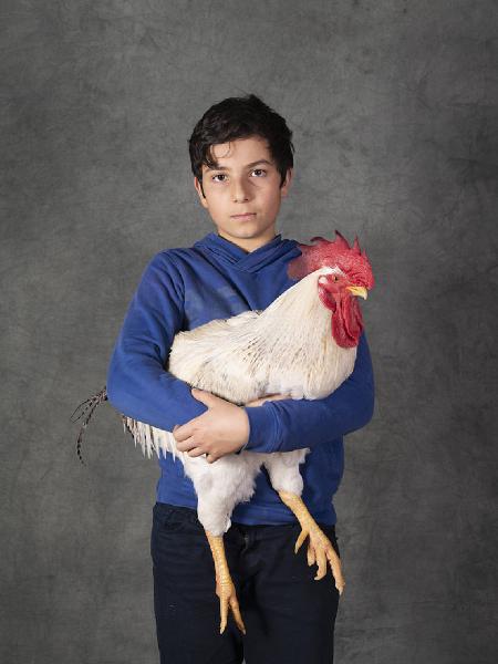 Carte de visite. Studio fotografico: interno - Ritratto infantile a figura intera: bambino con gallo