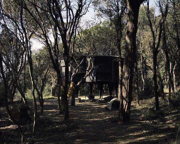 Atlante. Piombino - Casa Esagono (architetto Vittorio Giorgini, 1956-1957) - Esterno edificio visto tra la vegetazione - Pineta