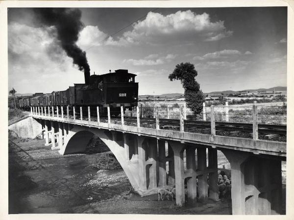 Ribolla - Fiume Bruna - Ponte ferroviario