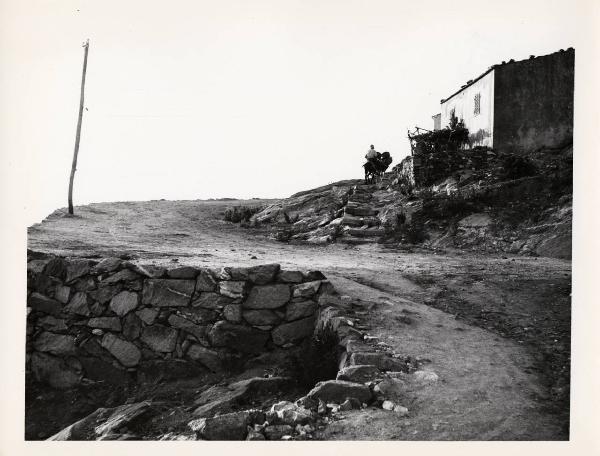 Isola del Giglio - Baia del Campese - Sentiero