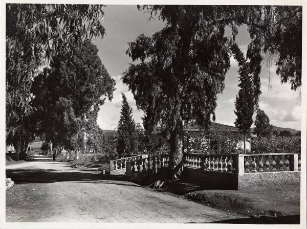 Ribolla - Parco della rimembranza - Ingresso